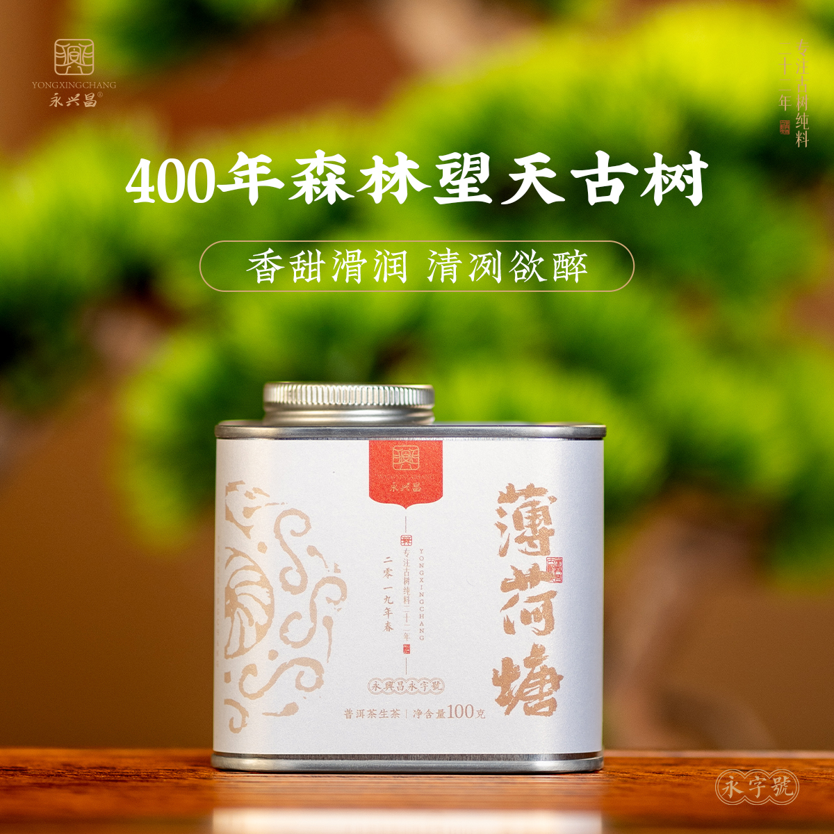  2019年薄荷塘古树龙珠100g/罐纯料头春春茶易武国有林精选产区