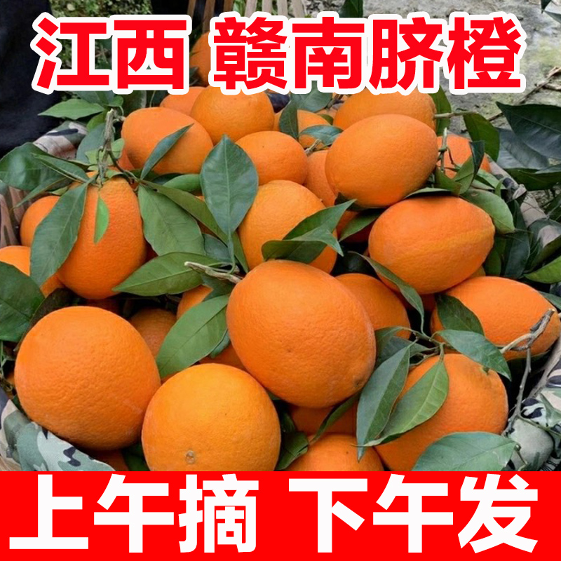 【彩箱包装】正宗江西赣南脐橙当季新鲜水果甜橙子赣州特产柑橘