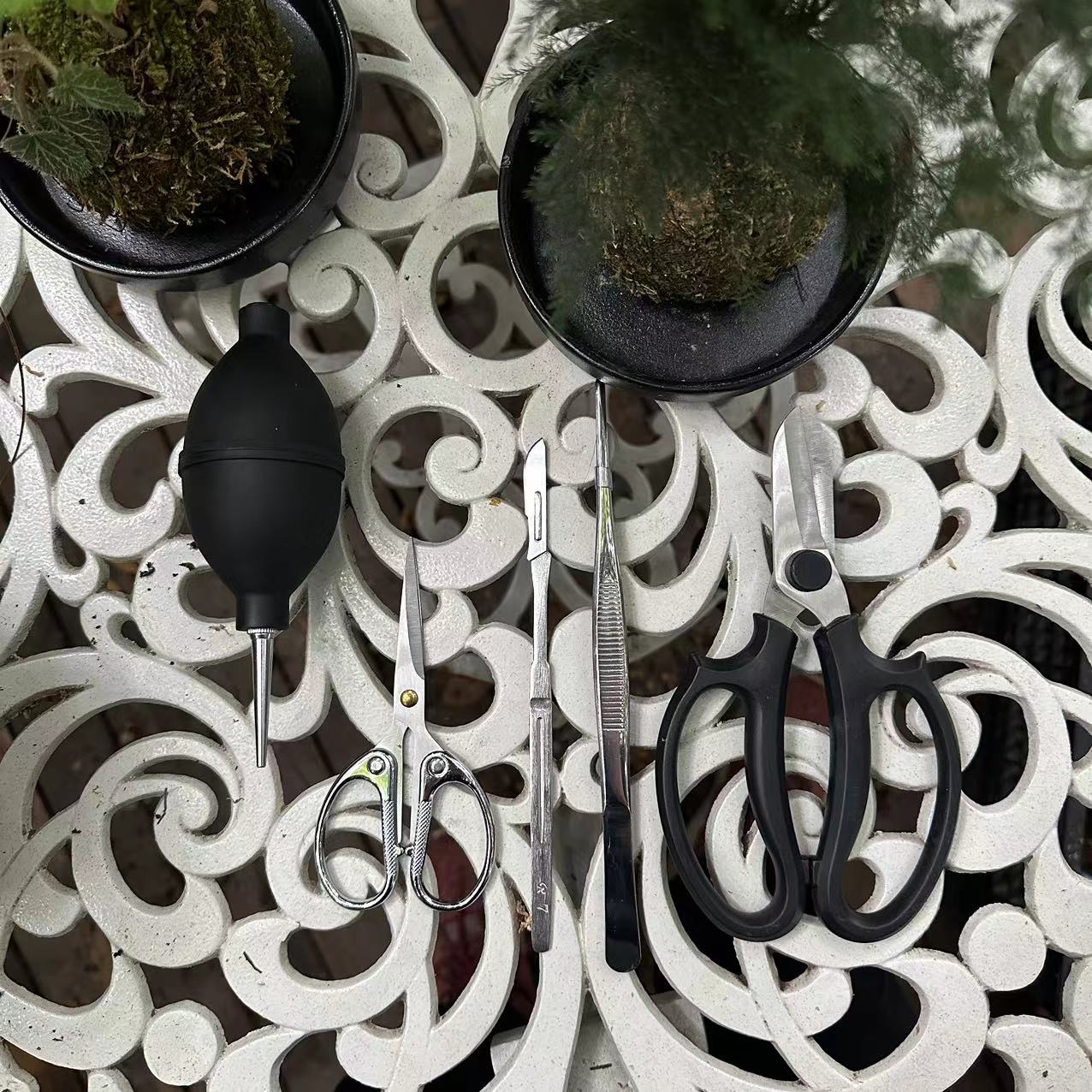 多肉园艺工具组合套餐家用