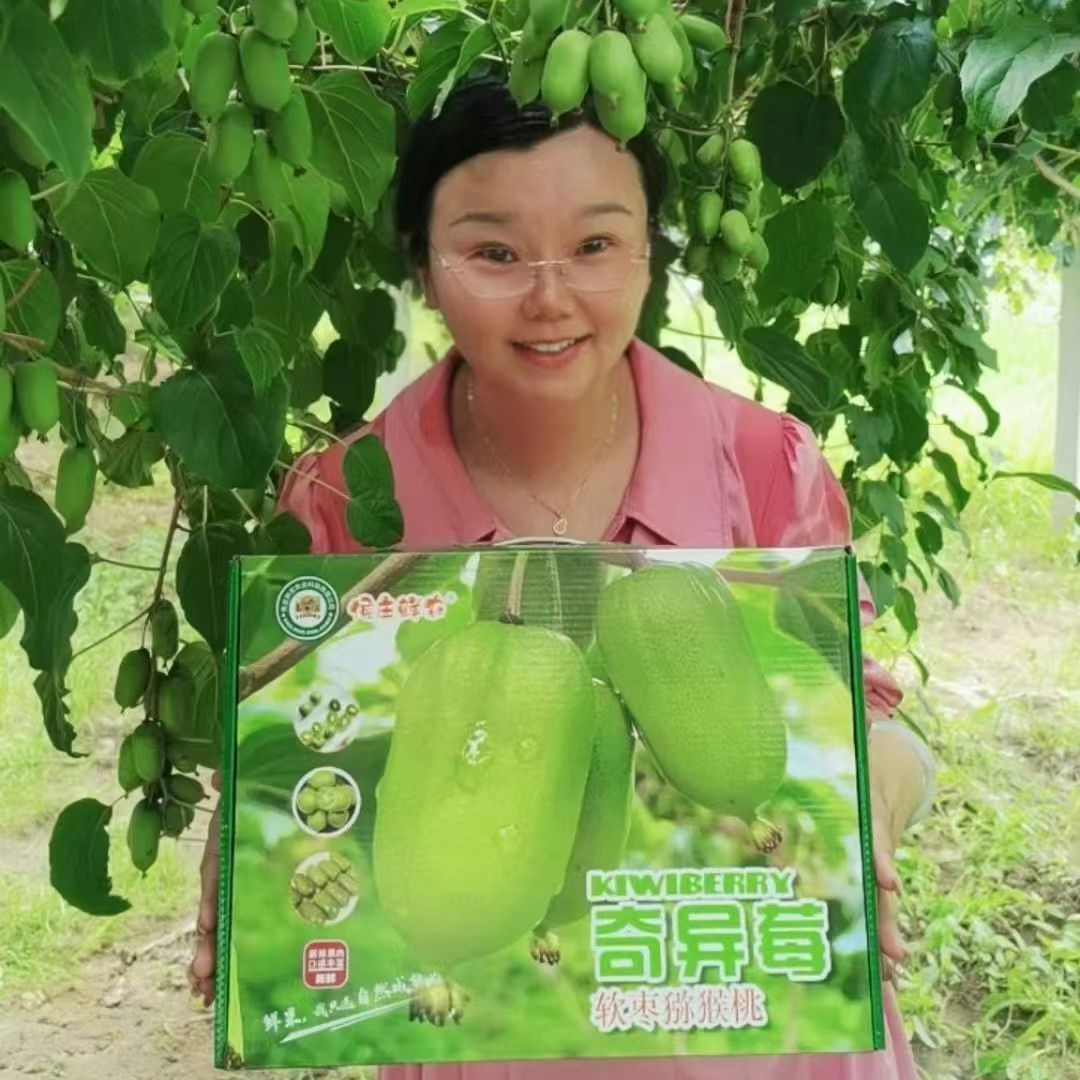 （顺丰包邮）新鲜现摘软枣猕猴桃精品礼盒装