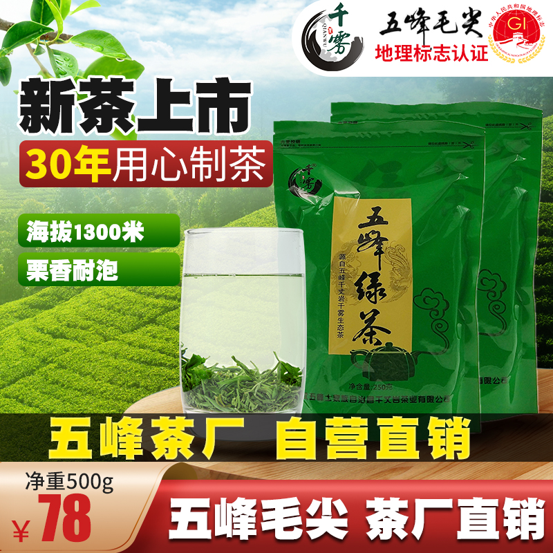 【2025新茶现货】五峰绿茶散装毛尖湖北宜昌三峡炒青雨前茶叶500g