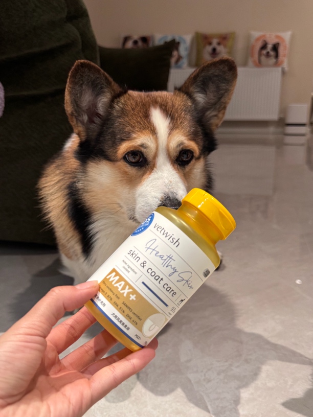 【来福发财】vetwish宠物鱼油犬用卵磷脂美毛护肤犬用鱼油胶囊犬用