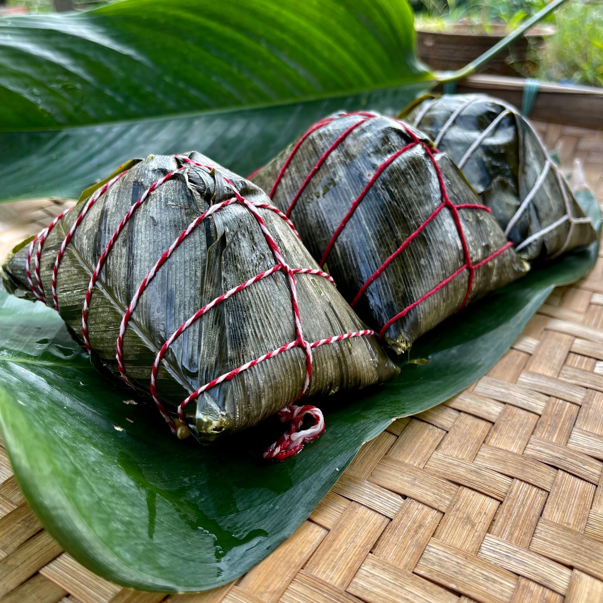 广西灵山特产板栗绿豆猪肉粽糯米鲜肉粽子农家手工制作咸味粽子