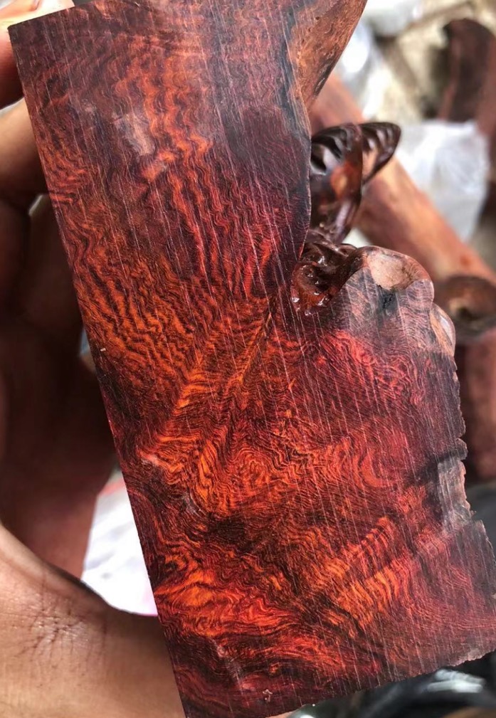 海南黄花梨瘤疤水波蜘蛛