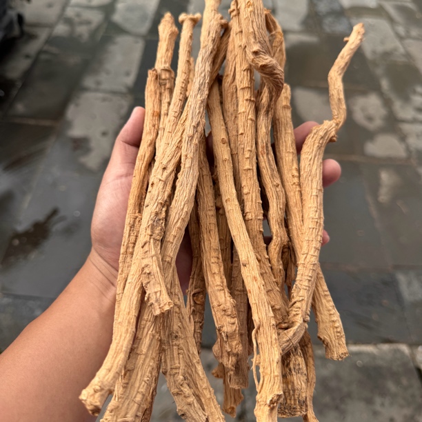 优乡土特产山货（裆）     非菇