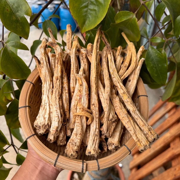 优乡土特产山货（裆）    非     菇