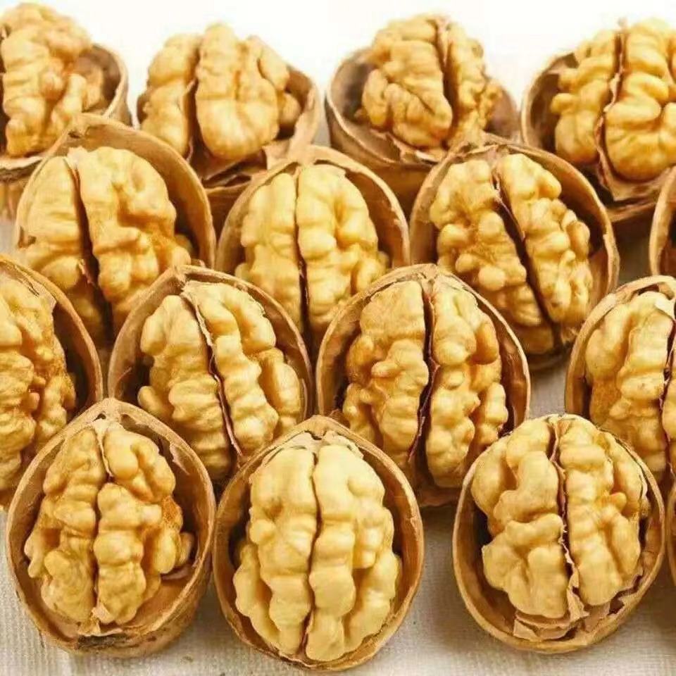 专属新货阿克苏新疆纸皮核桃薄皮营养食用饱满好开肉多