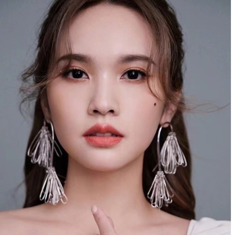 钛钢耳饰 杨丞琳同款松针流苏耳环小众设计高级感欧美夸张耳饰