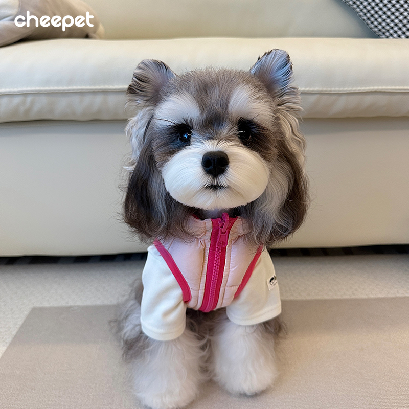 cheepet/趣派秋冬猫狗马甲双面穿条纹彩色保暖棉服中小狗狗外穿服