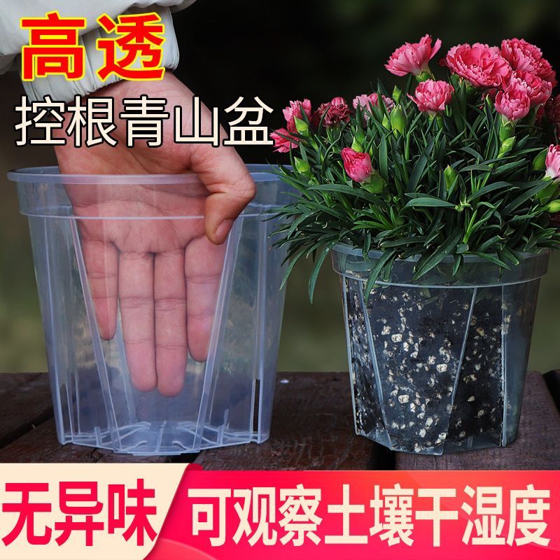新款高透青山盆蝴蝶兰专用花盆简约硬盆塑料海芋花盆控根盆兰花盆