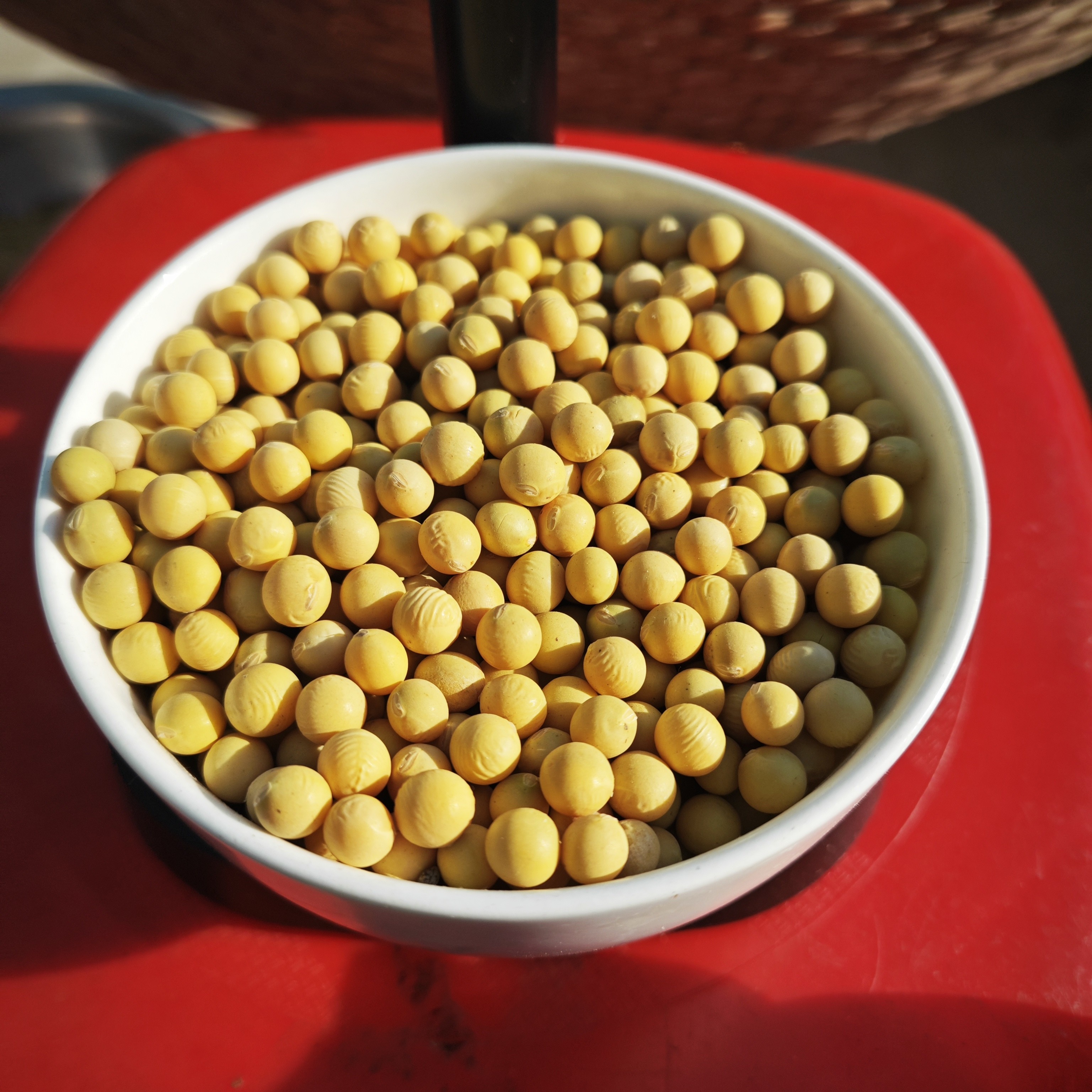 农家 新粮非转基因 4.9斤