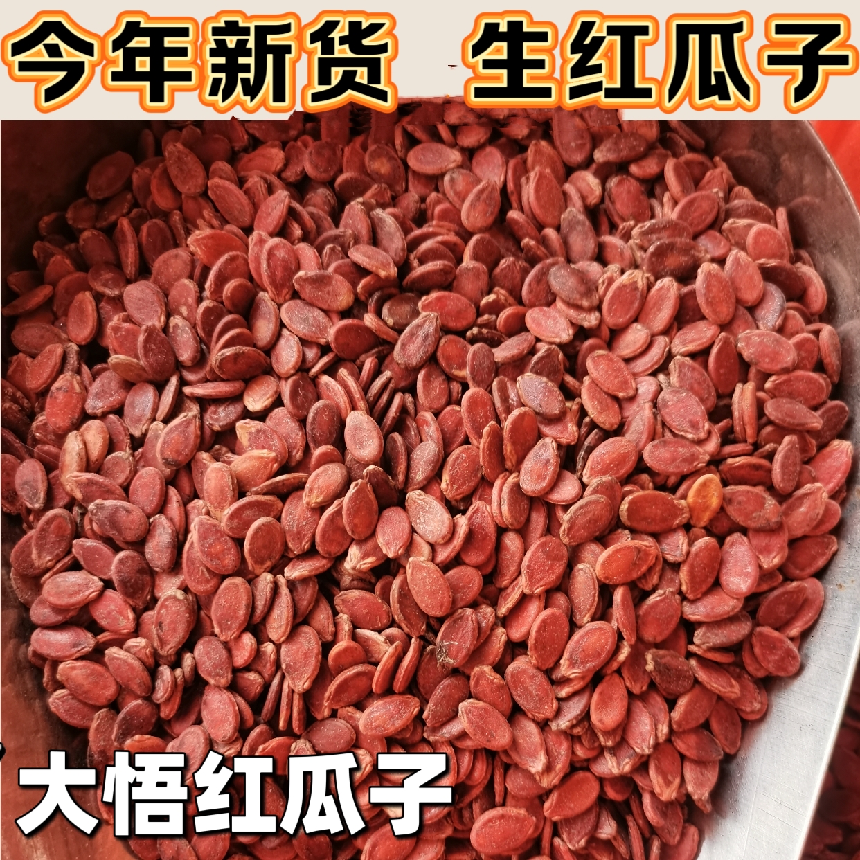 生瓜子大悟红瓜子2025年大颗粒新货原味婚庆瓜子