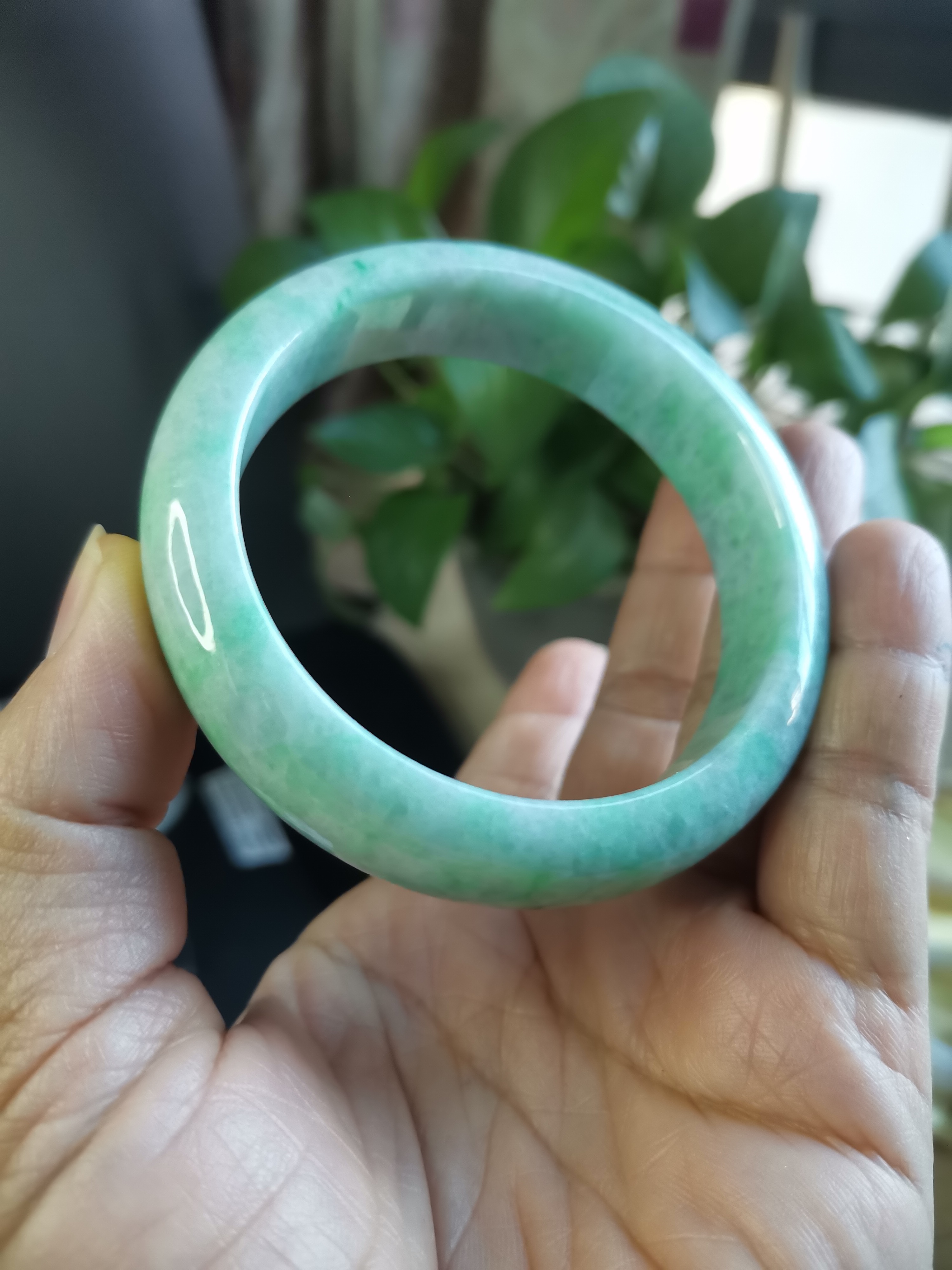 天然翡翠a货手镯绿色美人镯平安镯精美女款浅绿时尚百搭飘绿女士