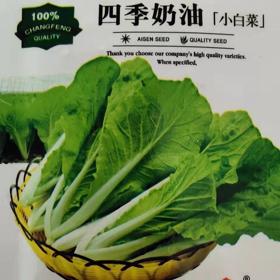 春季品奶油小白菜种子四季蔬菜种子早熟小青菜阳台盆室外蔬种子