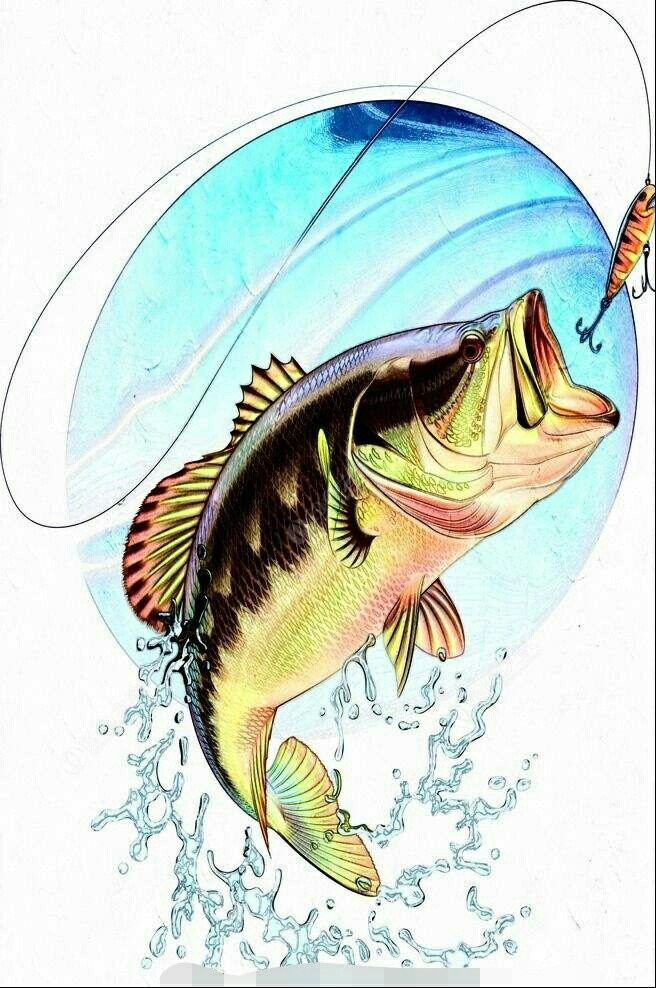 各类精品回流竿新到货，欢迎选购