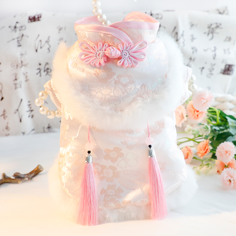 狗狗衣服秋冬装厚款猫咪公主唐装小主清新流苏小型犬泰迪宠物4952