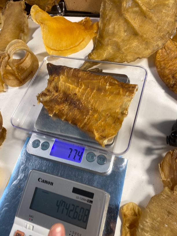 渔胶村临时散称1 g一500 g鱼胶广东汕头