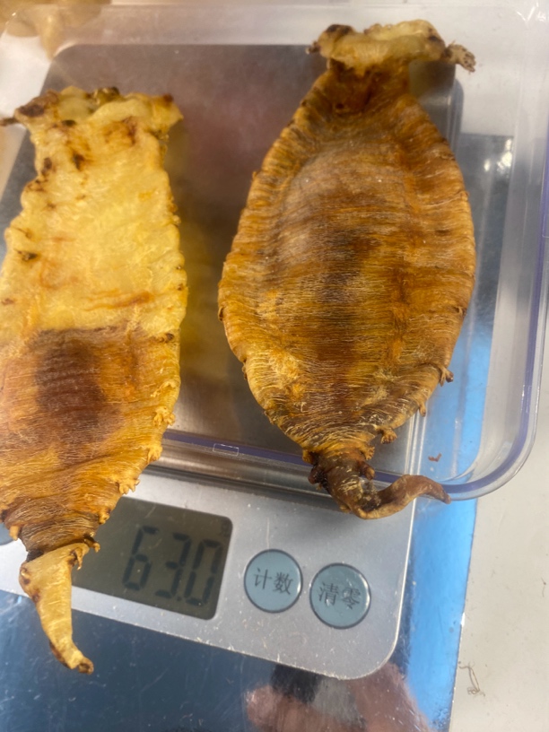 赤嘴鱼胶重量以截图为准本港汕头