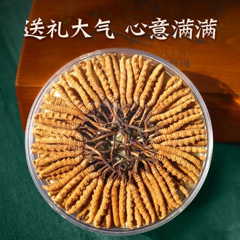 正宗甄选冬虫夏草冬虫草虫草王滋补虫草干草批发零售礼盒装泡酒