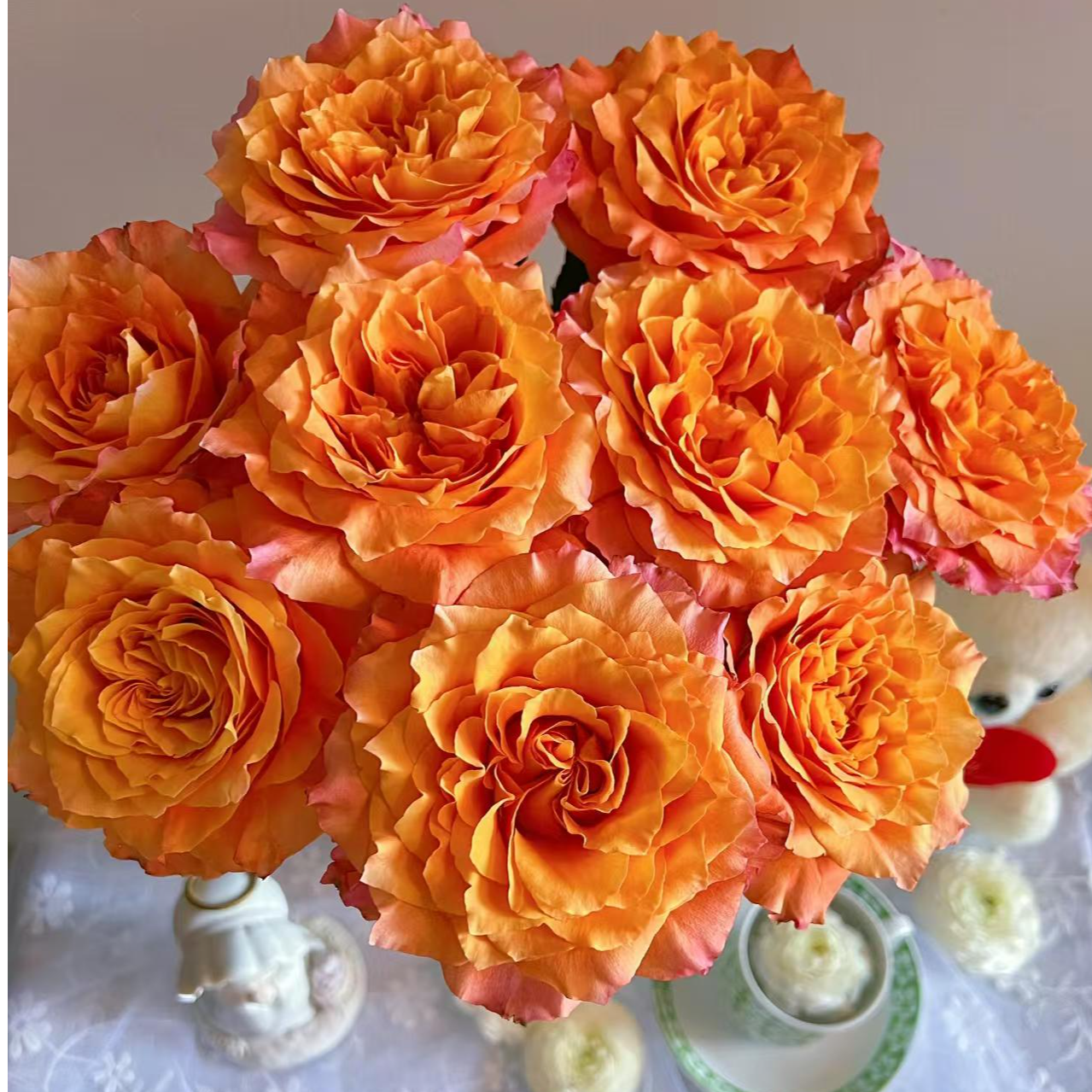 【火灵鸟玫瑰】火灵鸟单头玫瑰 橙红色系玫瑰鲜花居家鲜花基地直发