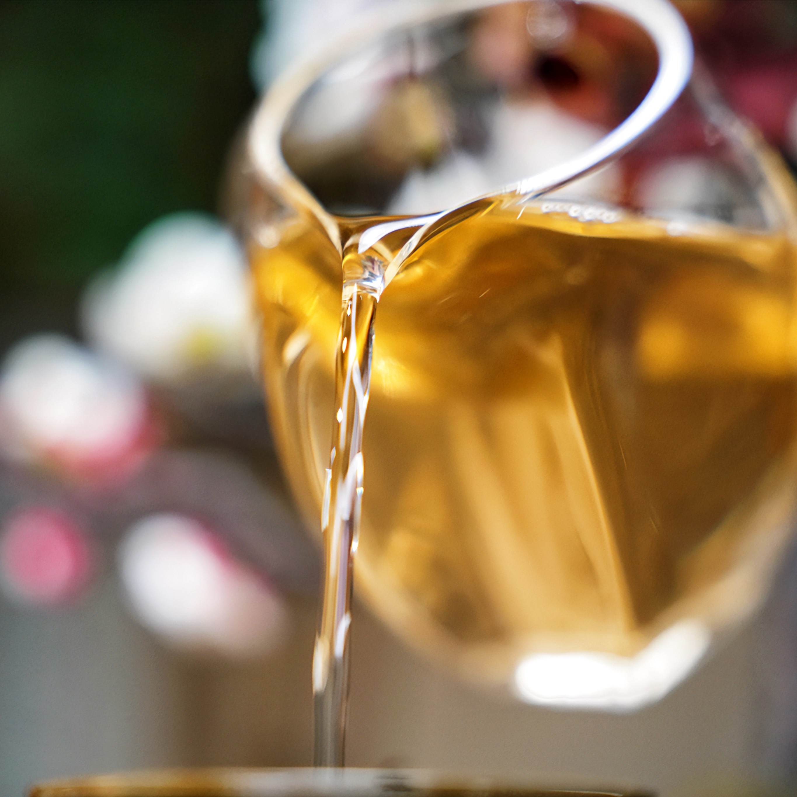 2024年 昔归 古树挑采 单株级别 甄选茶叶 100g/盒 找老周发货