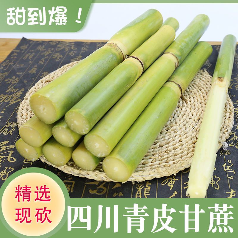 甘蔗青皮甘蔗四川甘蔗当季新鲜水果甘蔗手撕薄皮青甘蔗非紫皮甘蔗
