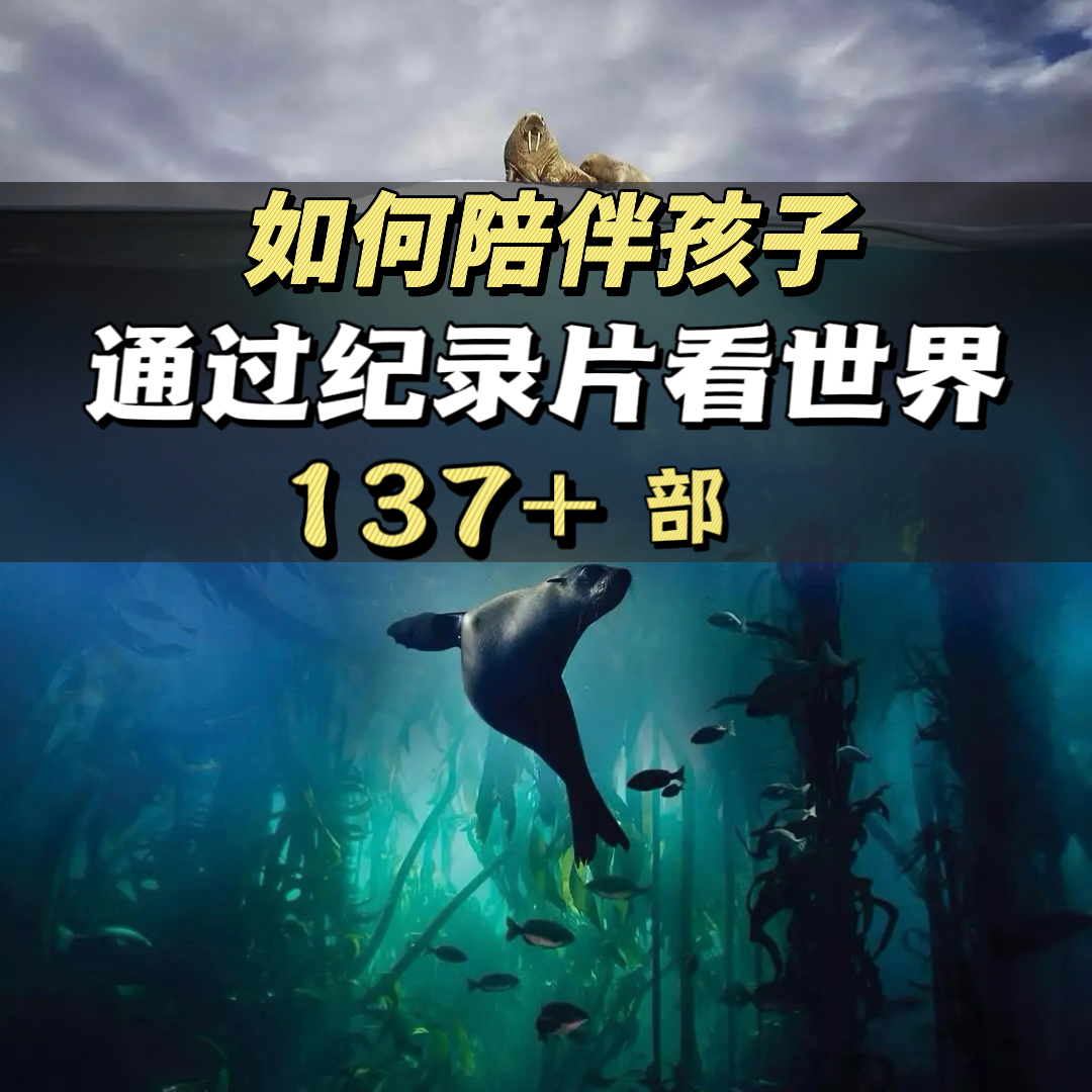 （精选137+）国学启蒙儿童科普动植物纪录片早教幼儿视频点读材料