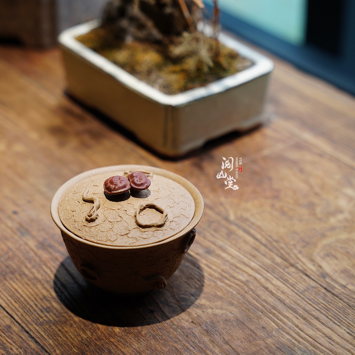 阅山堂 | 灵芝供春紫砂盖碗 原矿老段泥 轻盈薄胎 石一婷全手工制