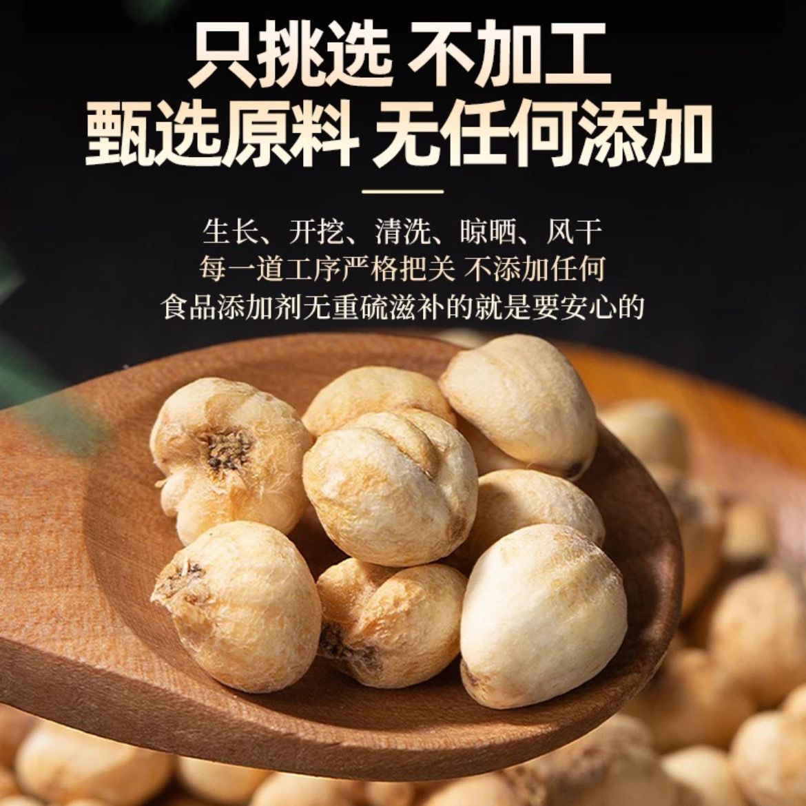 高原农户现收好物【藏贝母】煮水，泡水，煲汤