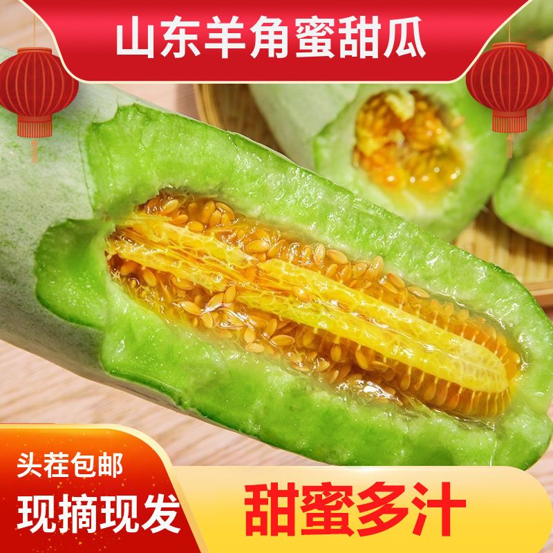 山东羊角蜜现摘头茬整箱新鲜孕妇水果蜜香瓜脆瓜甜瓜包邮3斤