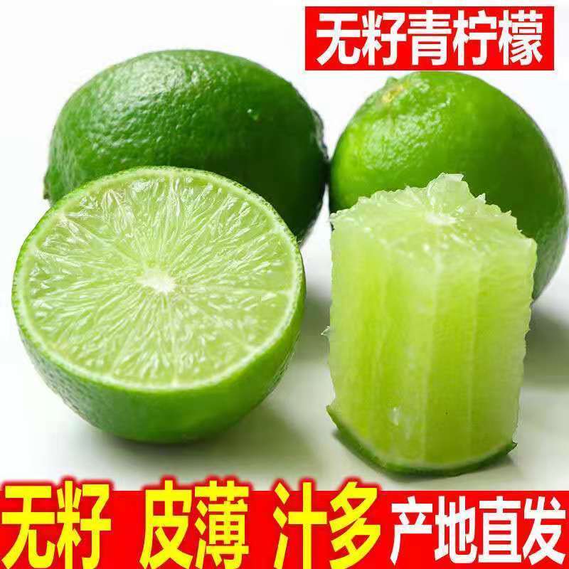 四川安岳无籽青柠檬现摘发货新鲜水果无籽青柠檬皮薄多汁9斤