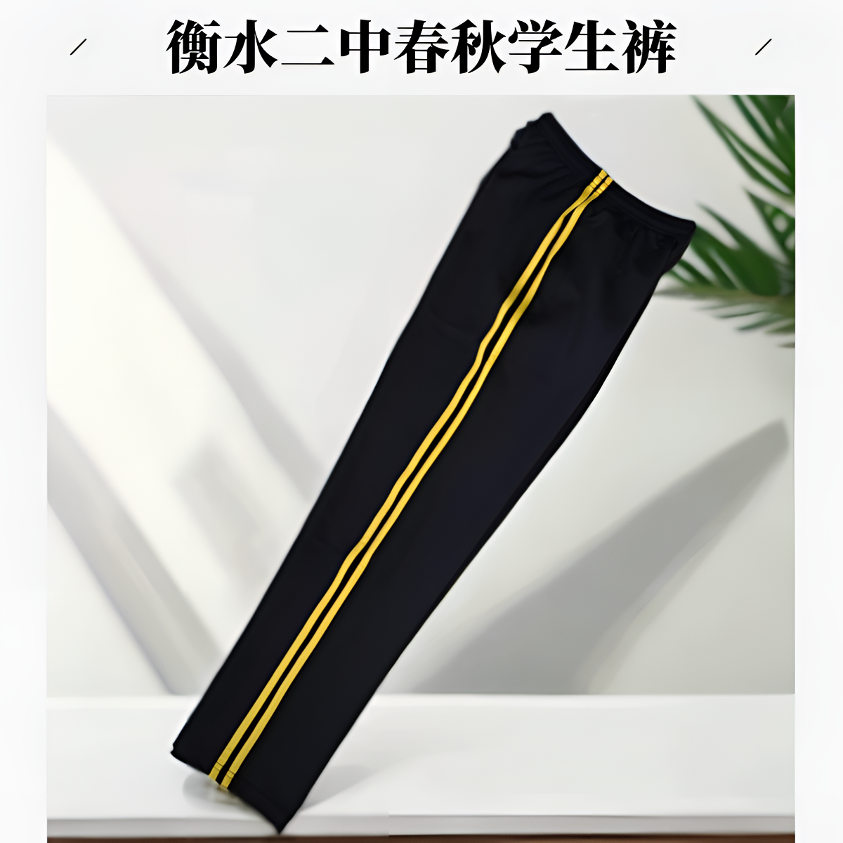 衡水市大庆路二中高二校服裤休闲春秋裤子藏青色校服裤