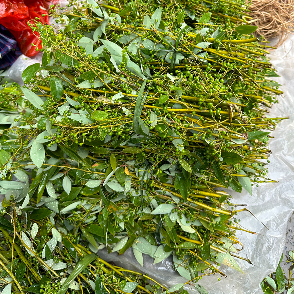 顺丰包邮—贵州高原农村新鲜应季山货木姜子1-2斤