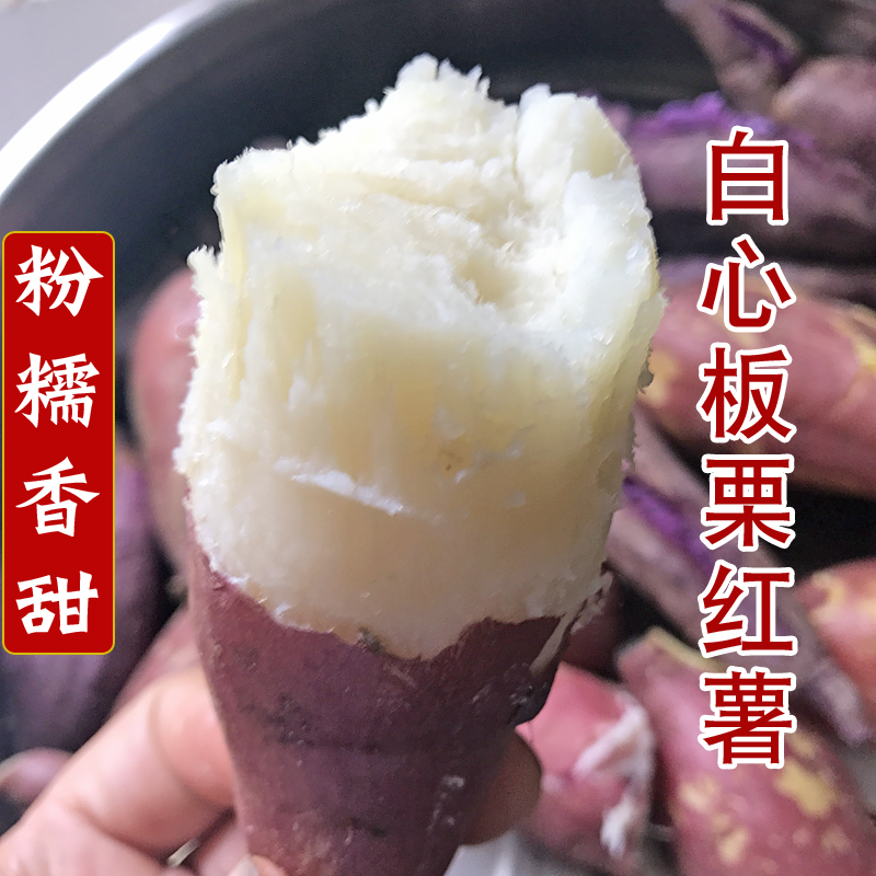 新鲜白心红薯现挖牛奶红皮白心板栗薯粉香白瓤地瓜番薯白薯原产地