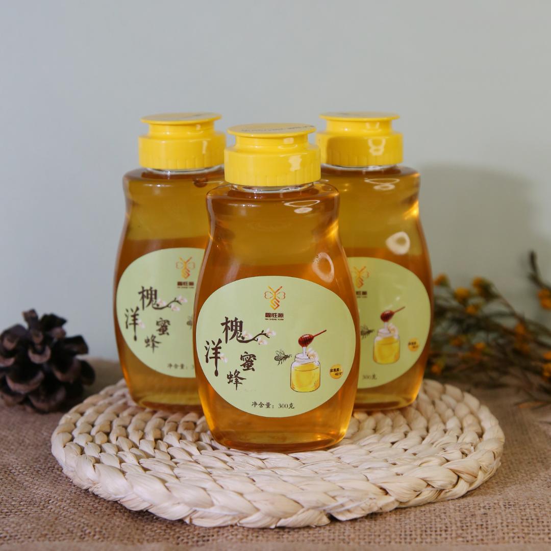 鑫胜源  洋槐蜂蜜便携装  300g/瓶