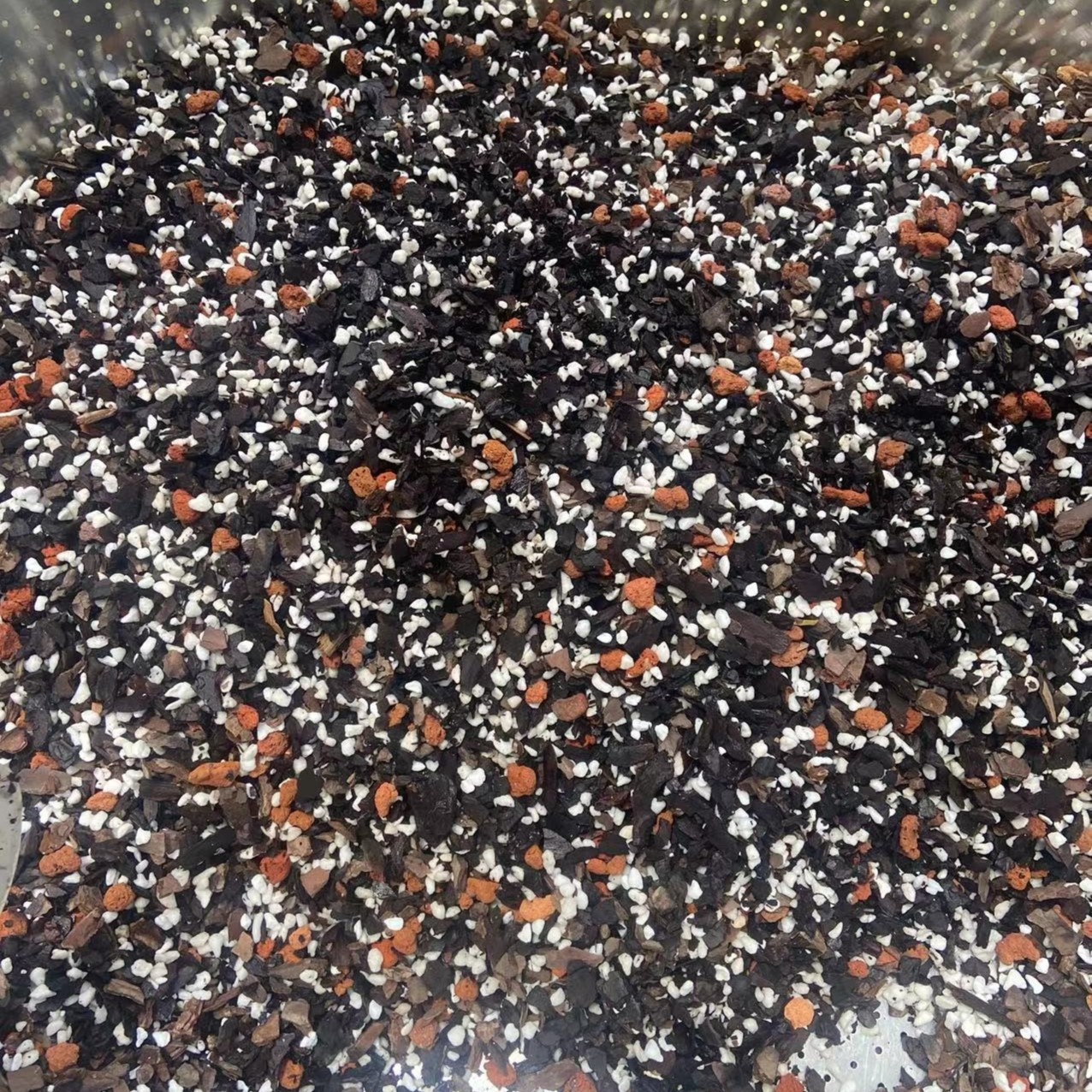 书芹兰花本园自用，精品植料（适用大货，中端名品）