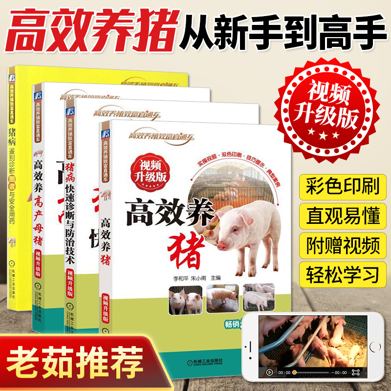 四册高效养猪+高产母猪+猪病快速诊断防治技术+猪病书籍 饲养猪书
