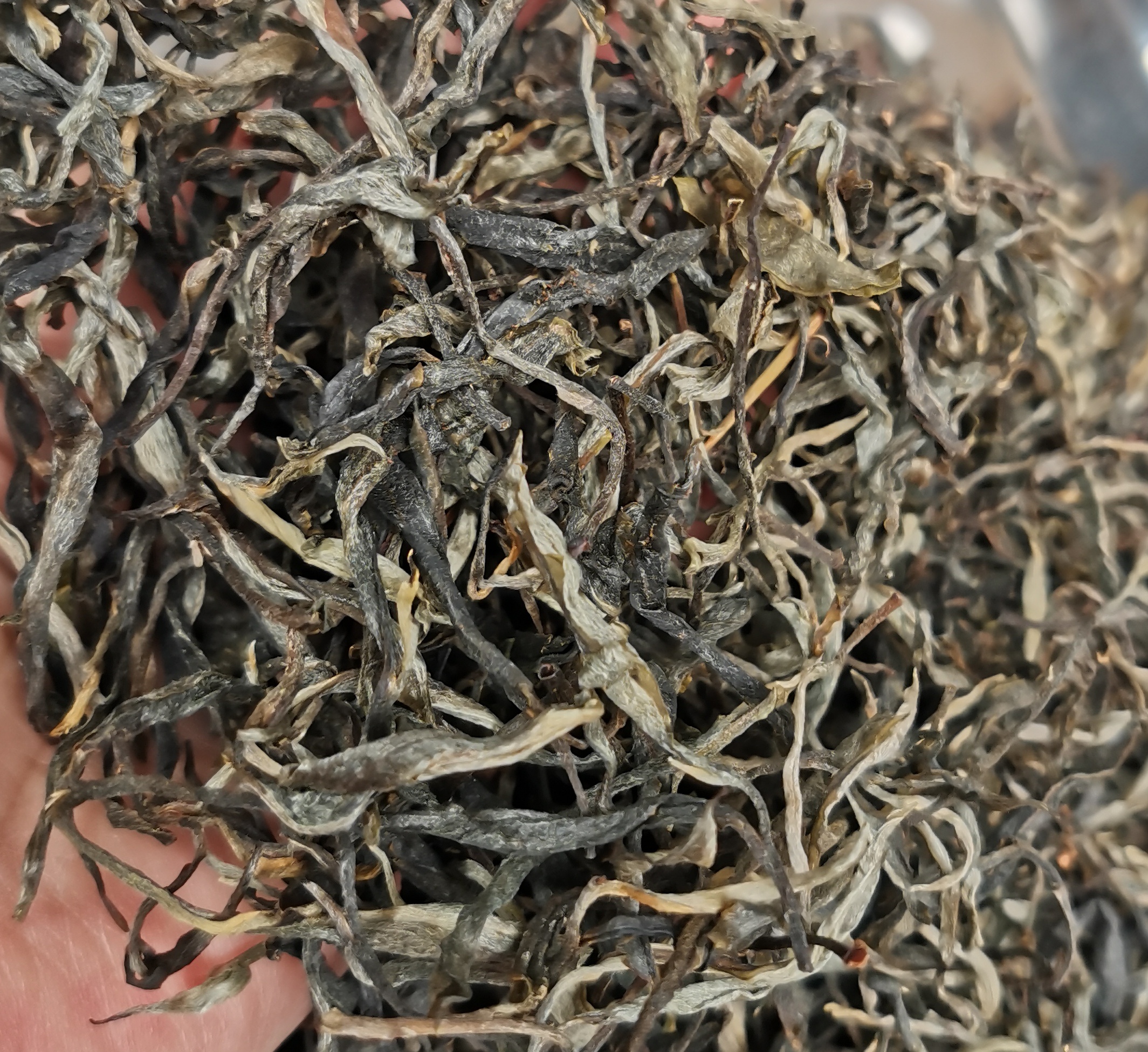 普洱生茶   滑竹梁子 2022年春  200克／袋