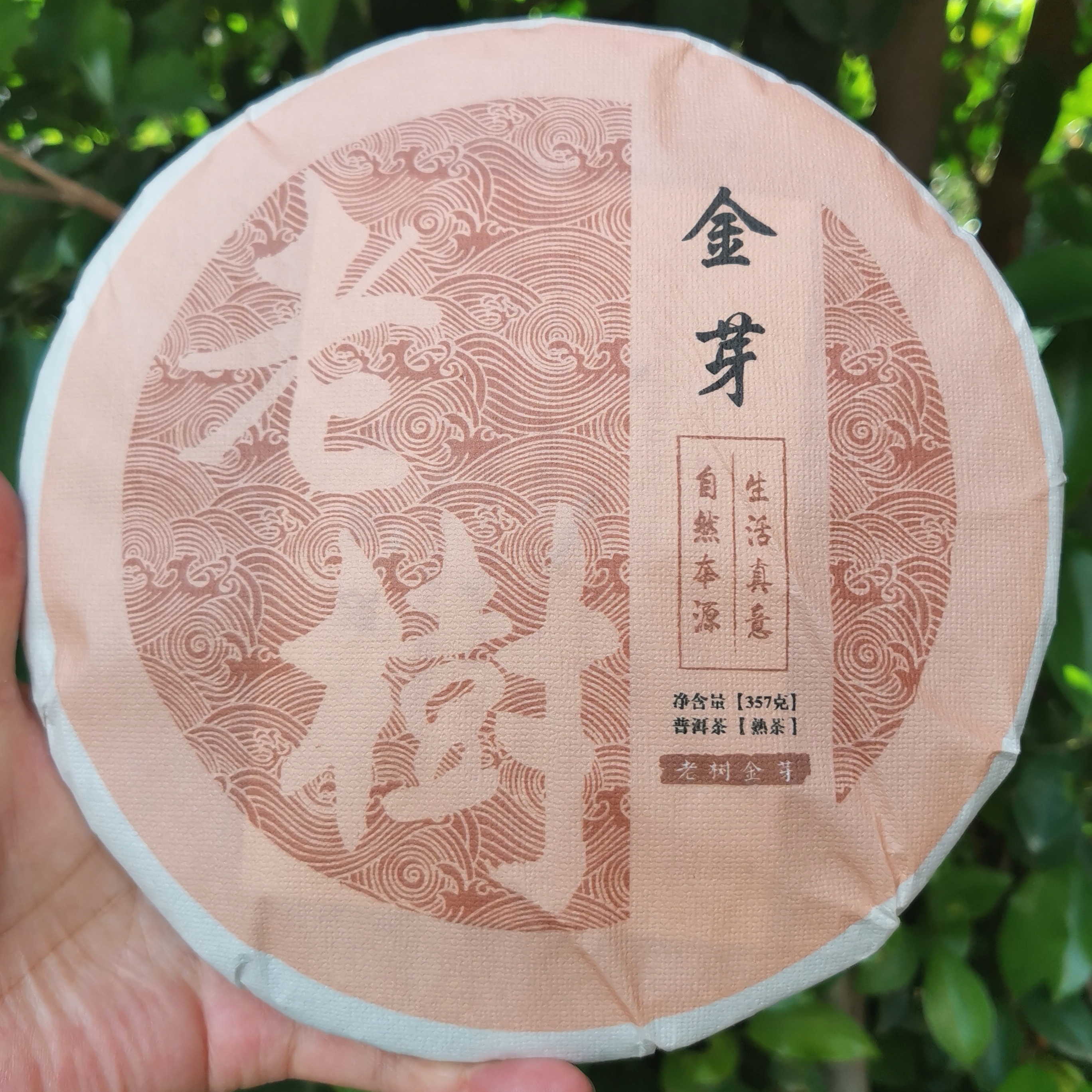 普洱熟茶 老树金芽 2019年   357克／片