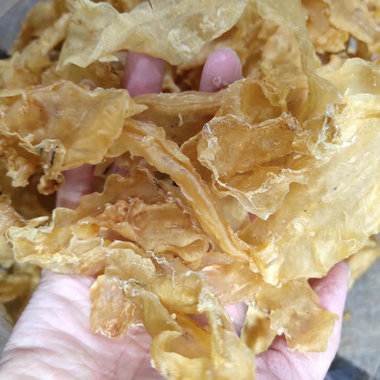 100头鳕鱼胶  广东鱼胶 做奶冻煲汤好物 250g 