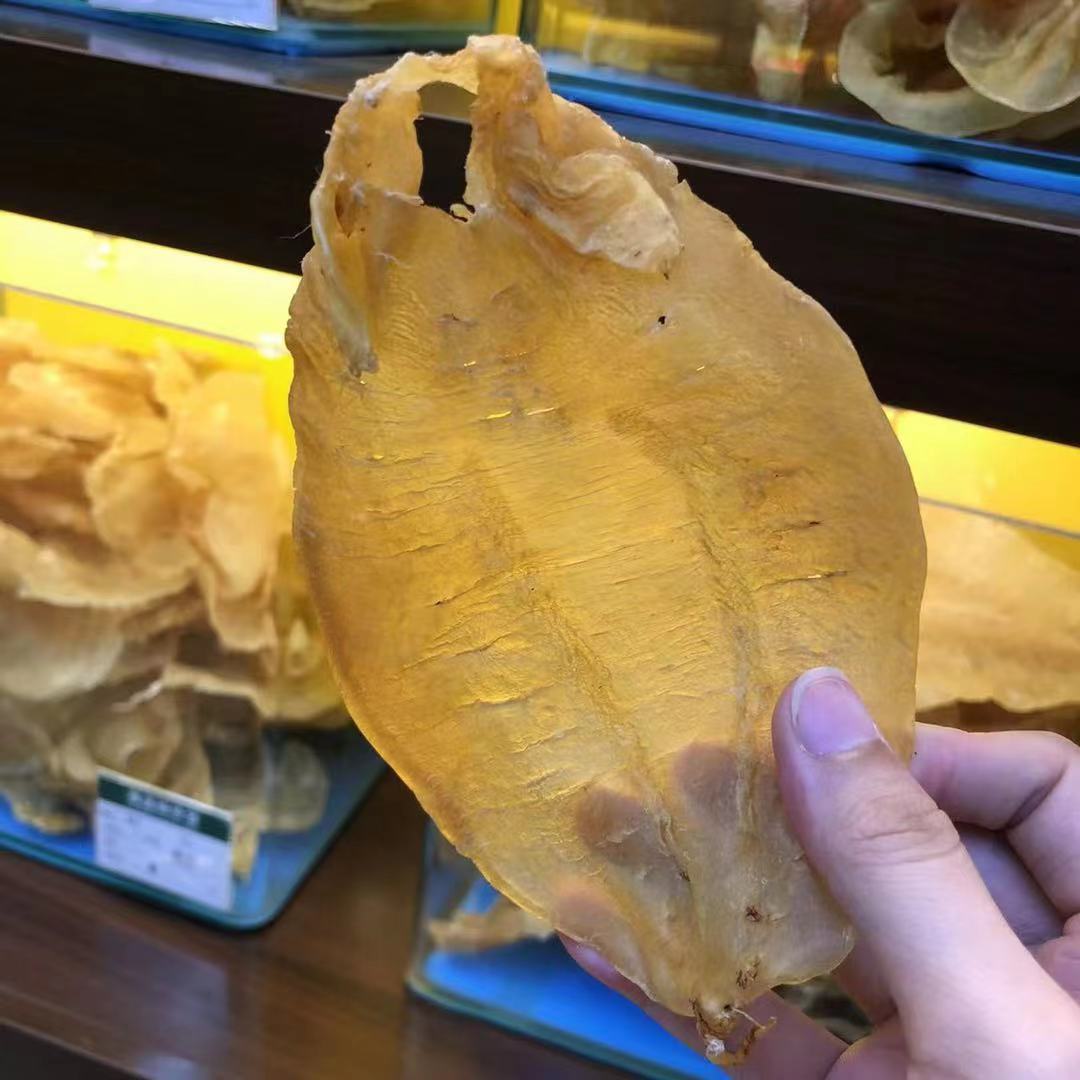 广东金兰赤嘴公鱼胶