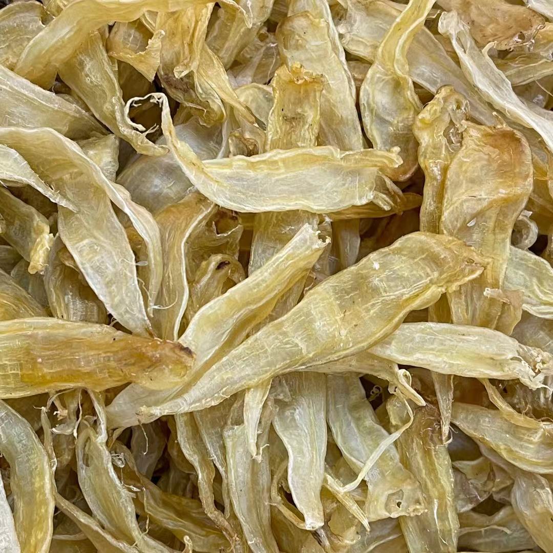 广东汕头北海赤嘴鱼胶