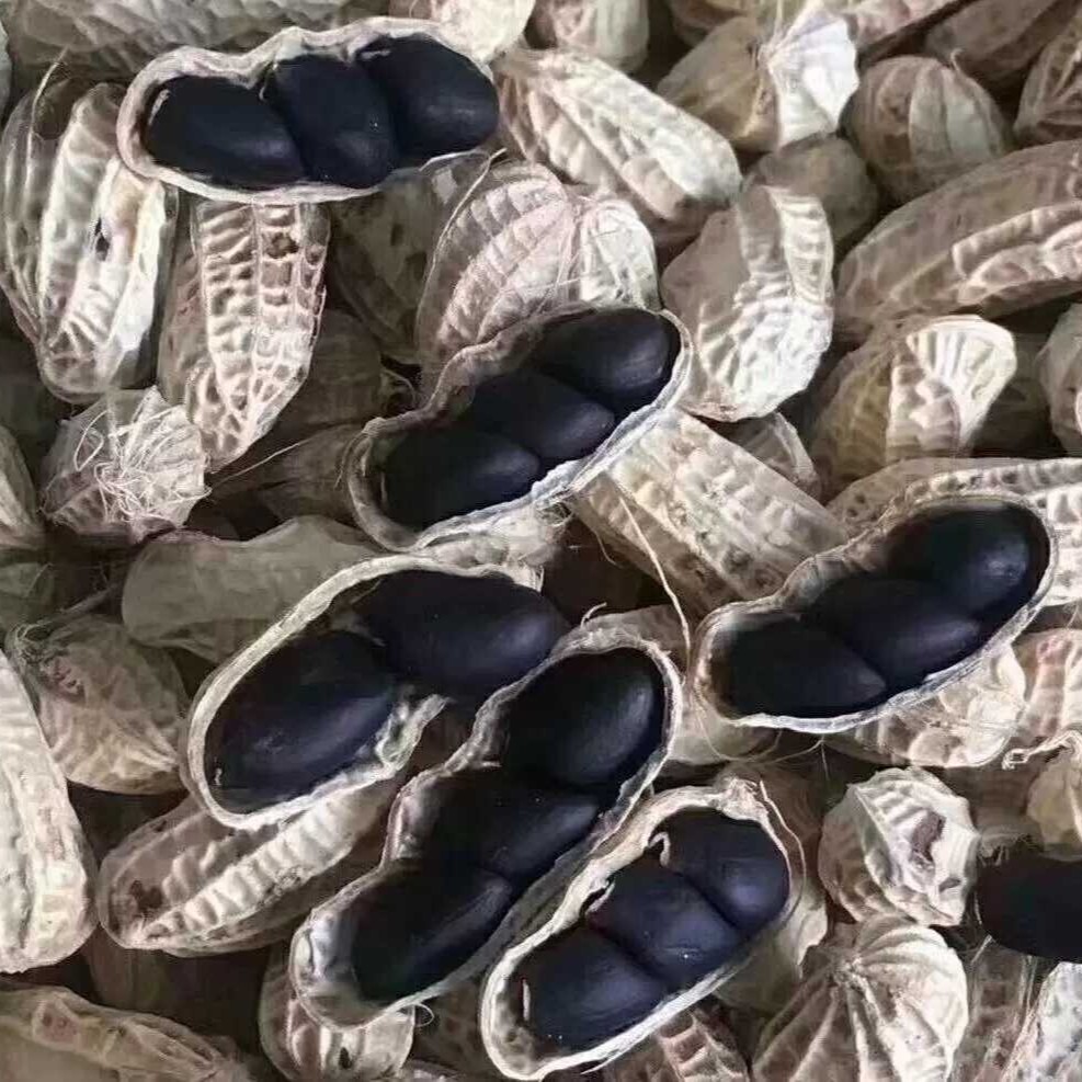 黑花生1000克云南特产包邮