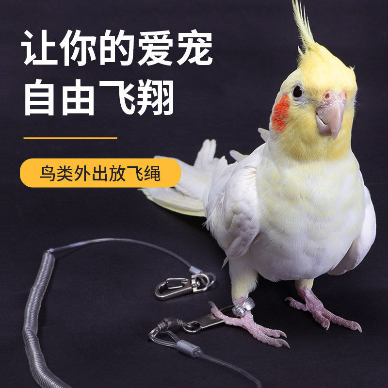 鹦鹉放飞绳训练绳鸟脖套牵引绳遛鸟绳飞行绳鸟用超轻脚链脚环包