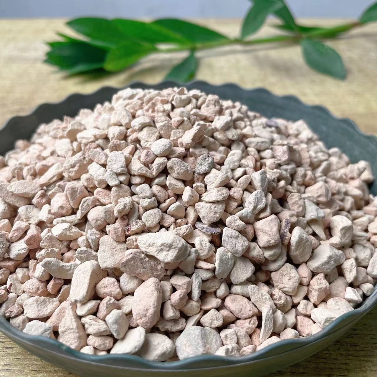 铺面石多肉植物通用种植多孔拌土垫底钵底石垫底石麦饭石陶粒造景
