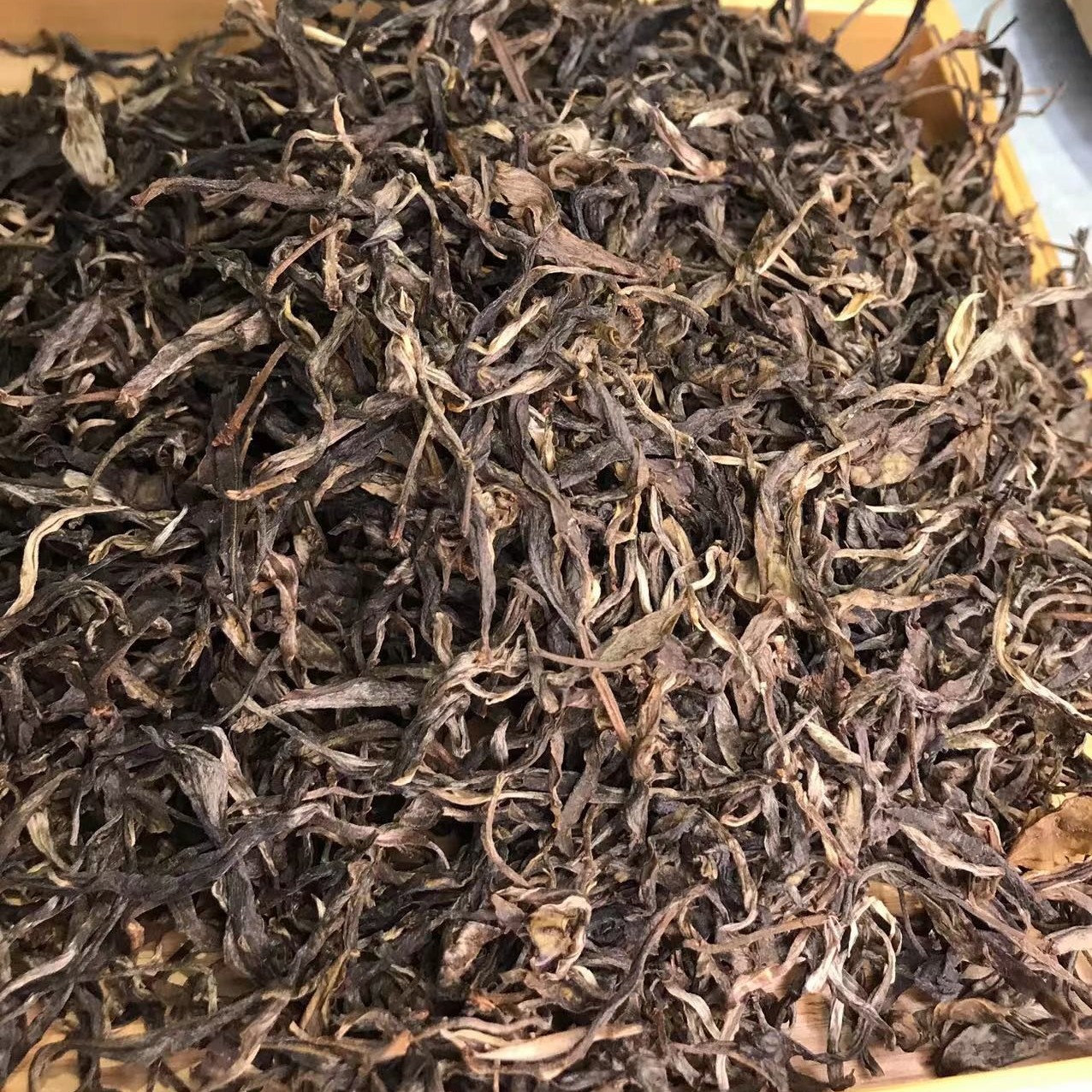 FaFei/发飞普洱茶 生普 2024头春 贺开