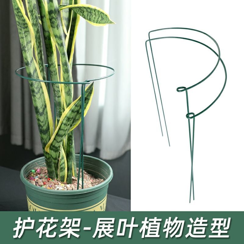 爬藤支架蟹爪兰花架植物支撑绣球月季铁艺半圆花架固定聚拢护叶架