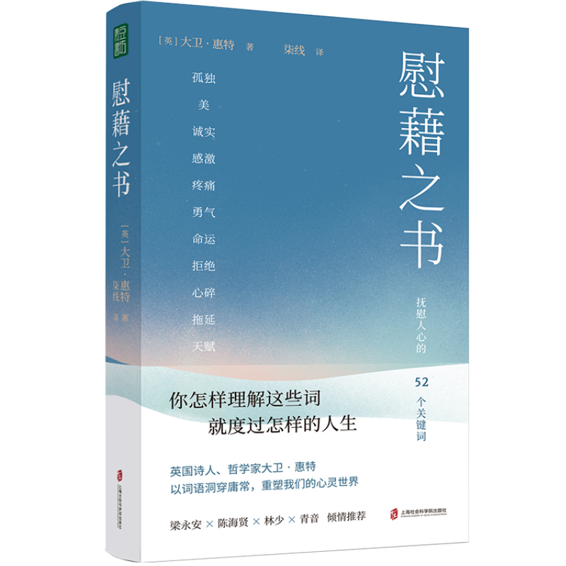 慰藉之书