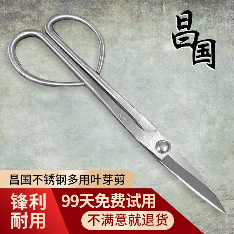 昌国不锈钢叶芽剪修枝剪刀插花剪小枝叶剪整枝剪盆景制作工具朱记
