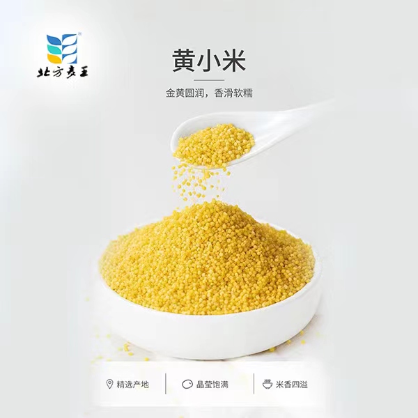 北方麦王敖汉旗原生态黄金苗小米(真空包装)500克X5袋